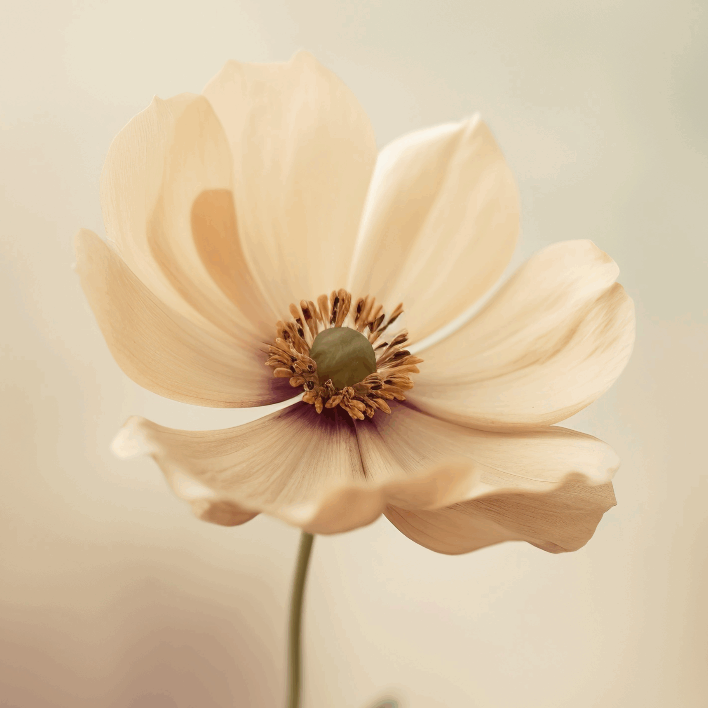 Alma Dresden - Entspannung Achtsamkeit Klangschalentherapie