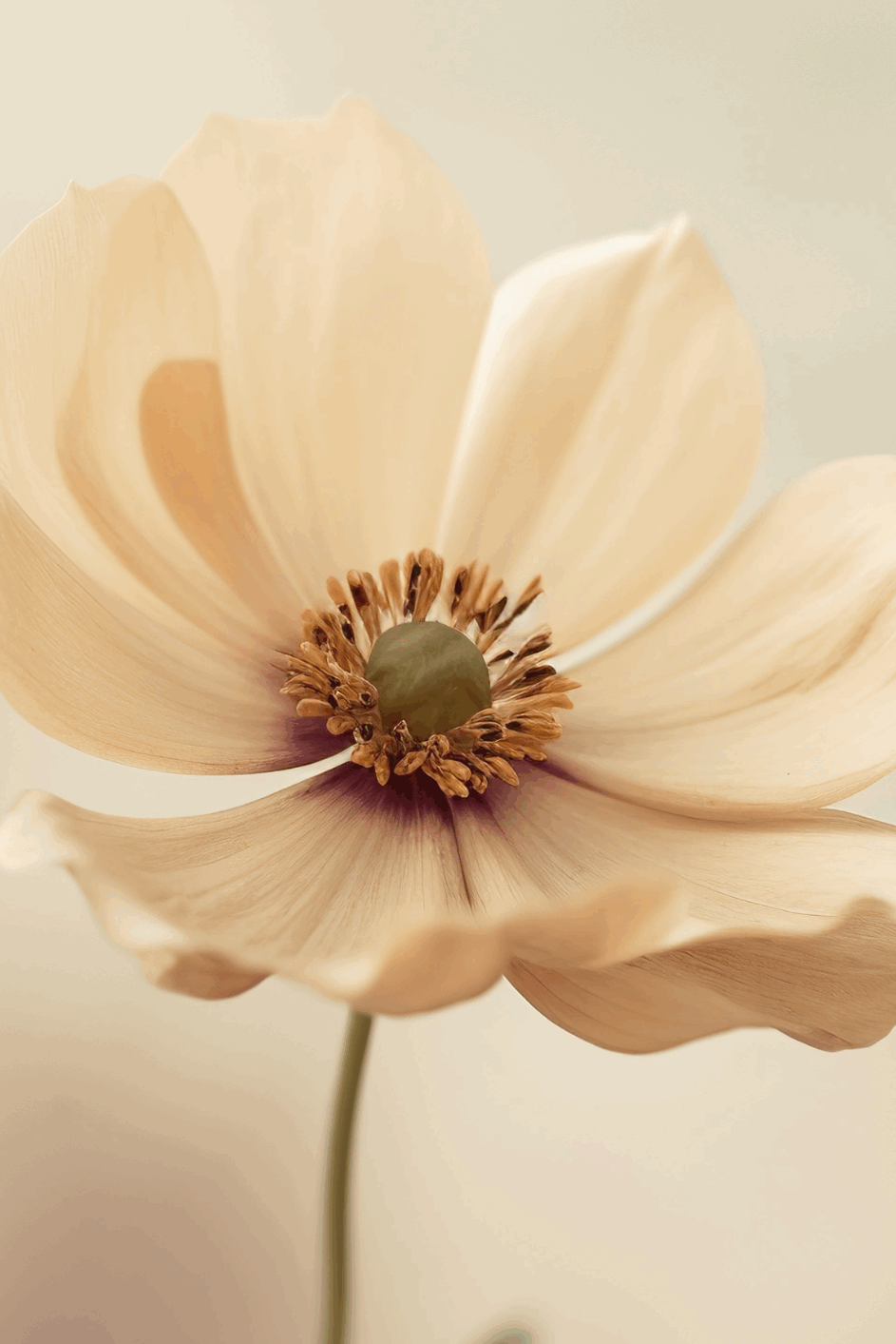 Alma Dresden - Entspannung Achtsamkeit Klangschalentherapie