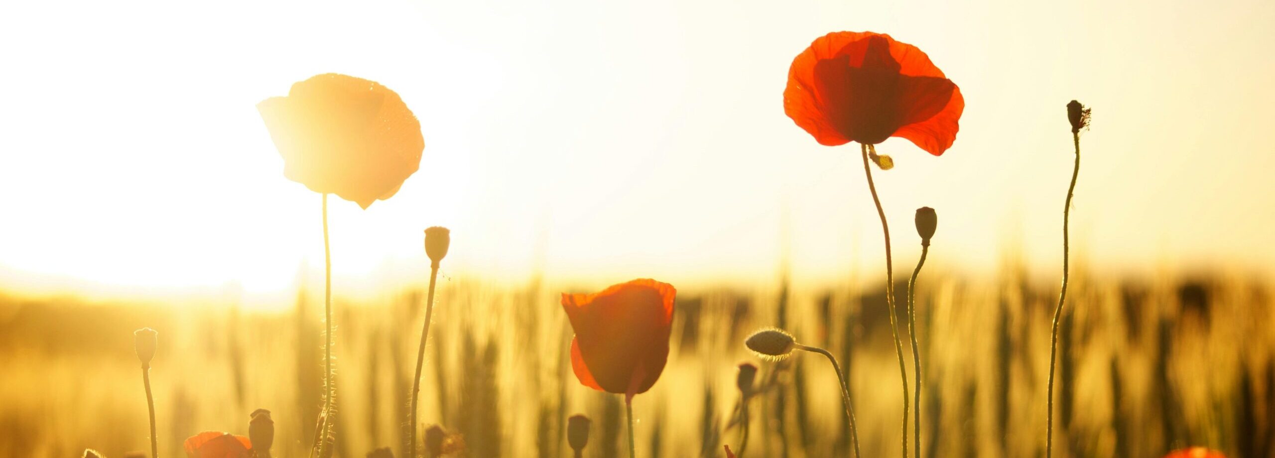 entspannung, reduzierung von stress